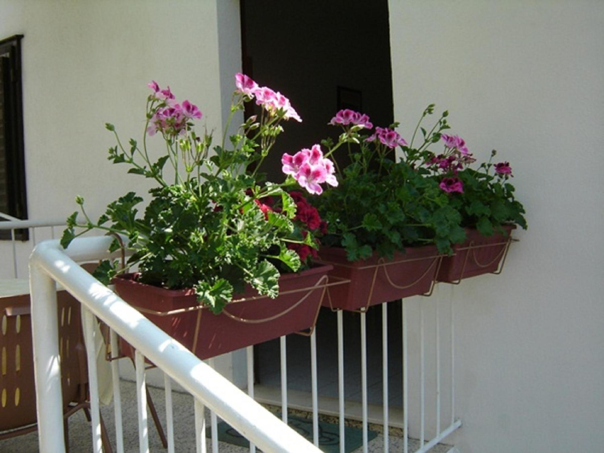 Apartmani Luna Hvar Town Exterior photo